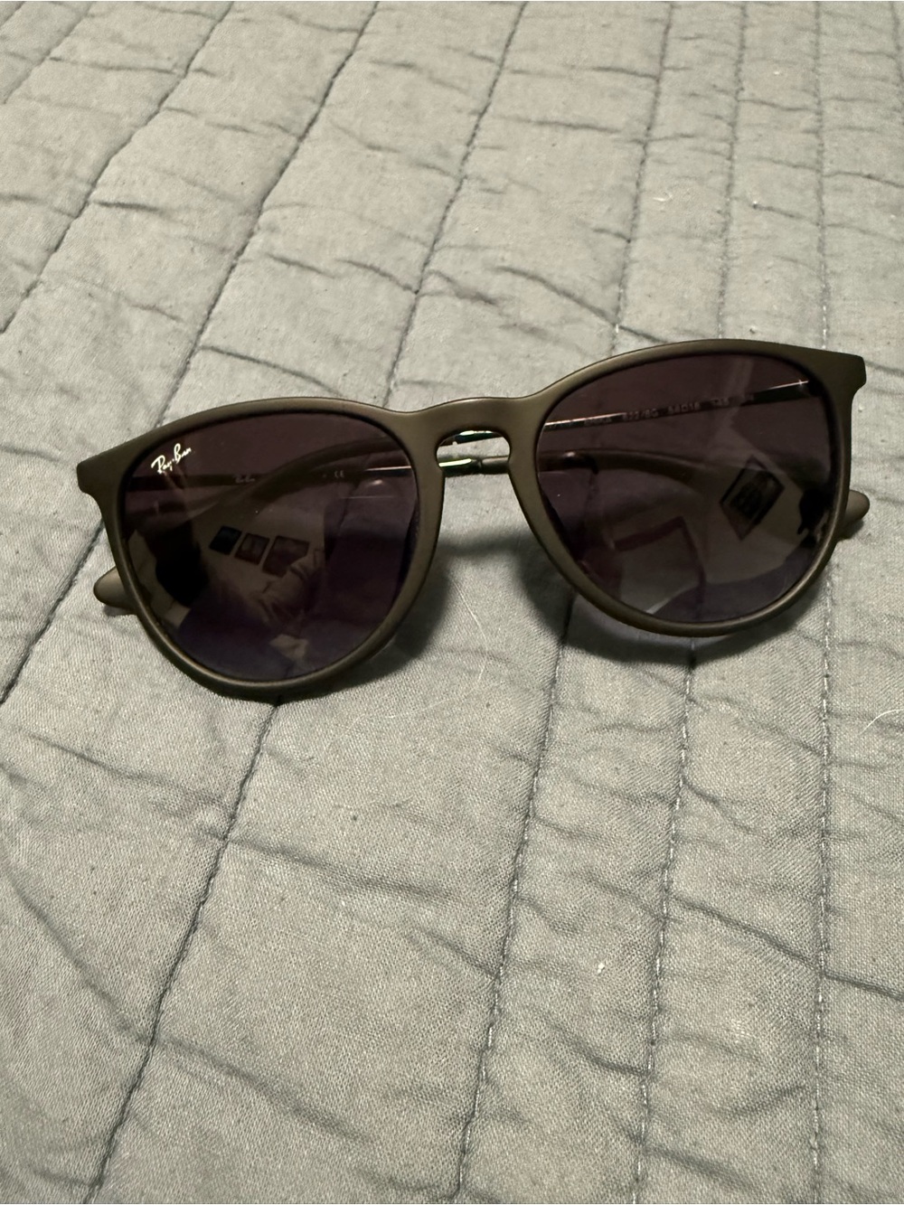 Ray Ban Erika sunglasses